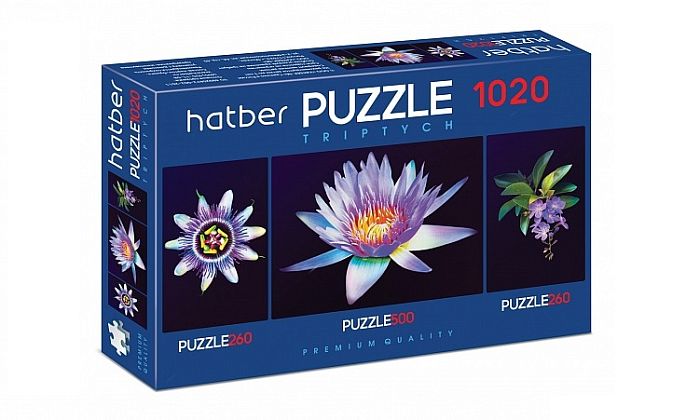 Puzzle Hatber 2х260 and 500 items: Soul flower 1020ПЗ2_20930