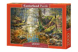 Puzzle Castorland 2000 parts: the Autumn forest