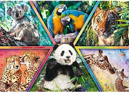 Trefl 1000 Pieces Puzzle: Animal Kingdom