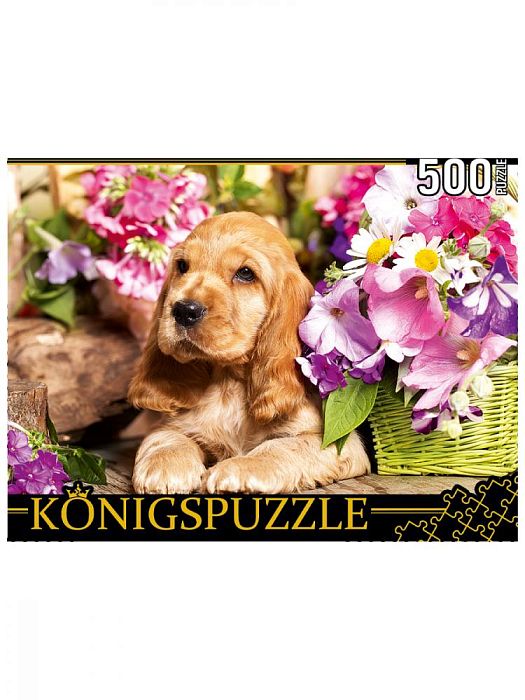 Konigspuzzle 500 Pieces Puzzle: English Cocker Spaniel Puppy ШТK500-3583