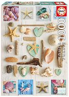 Puzzle Educa 1000 pieces: the Collage. Shell