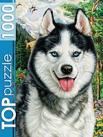 TOP Puzzle 1000 pieces: Portrait of a husky