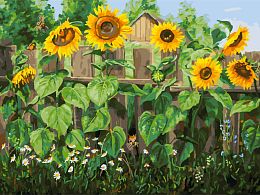 Painting by numbers Snow White: Sunflowers. The mood of August