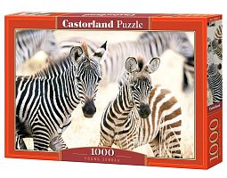 Castorland 1000 Pieces Puzzle: Zebras