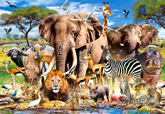 Castorland Puzzle 1500 details: Animals of the savanna C-151950