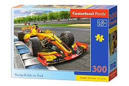 Puzzle Castorland 300 details: the Car On the Track