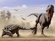 Puzzle Prime 3D 500 parts: Daspletosaurus vs Evoplocephalus