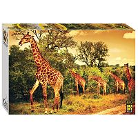 Step puzzle 4000 pieces: South African Giraffes