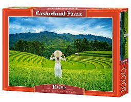 Castorland 1000 Pieces Puzzle: Rice Fields in Vietnam