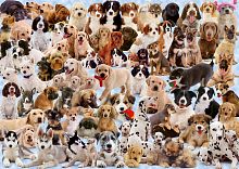 Ravensburger puzzle 1000 pieces: the Abundance of dogs 