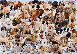 Ravensburger puzzle 1000 pieces: the Abundance of dogs 