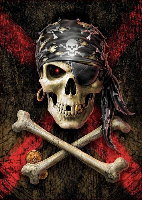 Puzzle Educa 500 items: Pirate skull 17964