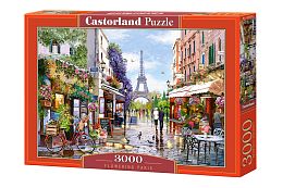 Puzzle Castorland 3000 pieces: Paris street