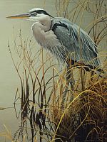 Cobble Hill Puzzle 500 pieces: Big Blue Heron