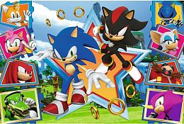 Trefl 100 Pieces Puzzle: Meet Sonic