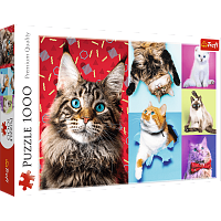 Puzzle Trefl 1000 pieces: Happy cats