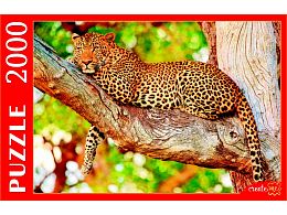 Puzzle Red Cat 2000 details: Elegant leopard on a tree