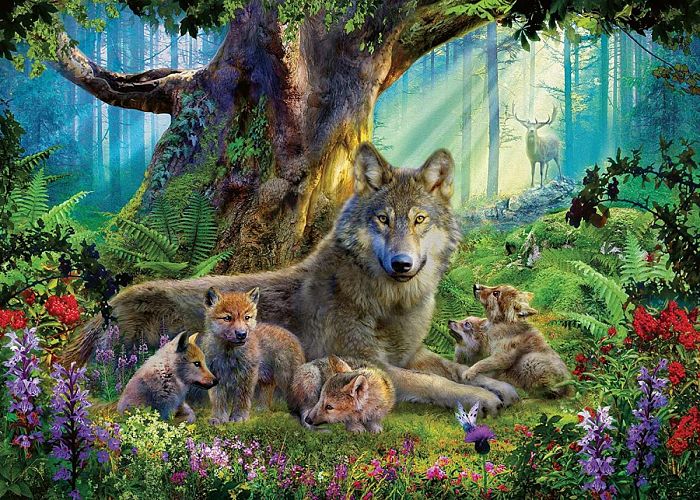 Ravensburger 1000 pieces puzzle: Wolves in the Forest 15987.