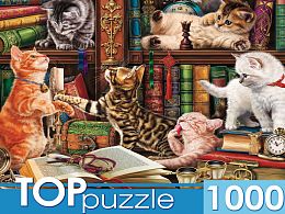 TOP Puzzle 1000 pieces: Kittens in the library