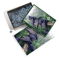 Cobble Hill 1000 Pieces Puzzle: Crows