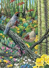 Cobble Hill 1000 Pieces Puzzle: Bird Courtship