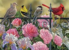 Cobble Hill puzzle 1000 pieces-Birds on the fence