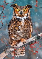 Puzzle Castorland 500 items: Great horned owl