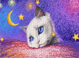 Nova 1000 Pieces Puzzle: Under the stars. The White cat