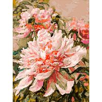 Painting by numbers Snow White: A delicate peony