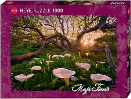 Puzzle Heye 1000 pieces: glade Callas