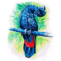 Picture by Numbers Snow White: Blue Parrot