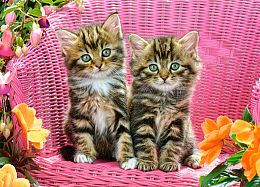 Puzzle Castorland 120 parts: Kittens on a chair
