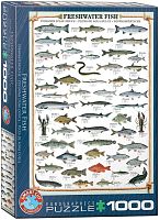 Eurographics 1000 pieces Puzzle: Freshwater Fish