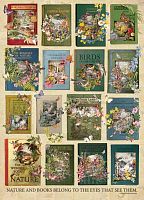 Cobble Hill 1000 Pieces Puzzle: Flower Books