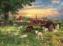 Cobble Hill 1000 Pieces Puzzle: Field at Dawn