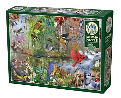 Cobble Hill 1000 Pieces Puzzle: Birds by Seasons