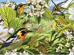 Puzzle Cobble Hill 500 items: Forest songbirds