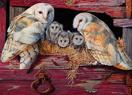 Cobble Hill puzzle 1000 pieces: Owl's nest
