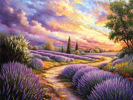 Wooden puzzle with 500 pieces. The magic of nature. Sunset over a lavender field