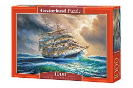 Puzzle Castorland 1000 pieces: Storm