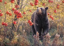 Cobble Hill Puzzle 500 pieces: Bear and Apples