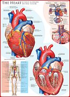 Puzzle Eurographics 1000 pieces Heart