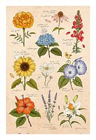 Pintoo 600-piece puzzle: Mandie. Summer flowers