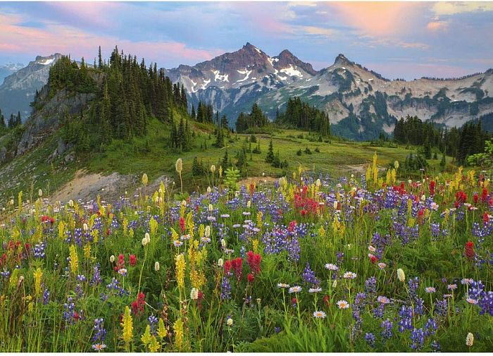 Puzzle Heye 2000 details: Flowers in the mountains 29903