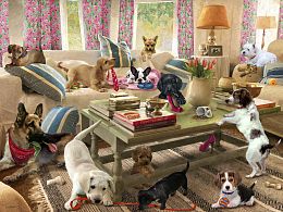 Puzzle Prime 3D 500 pieces: Dogs in the living room