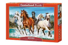 Puzzle Castorland 2000 details: Running horse