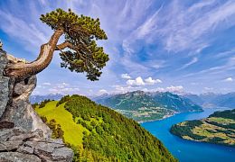 Castorland 1000-piece puzzle: View of Lake Uri. Switzerland