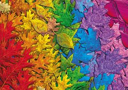 Schmidt Puzzle 1500 pieces: Colorful leaves