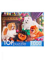 TOP Puzzle 1000 Pieces: Playful Pomeranians