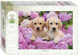 Step puzzle 1500 pieces: Puppies